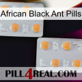 African Black Ant Pills 25